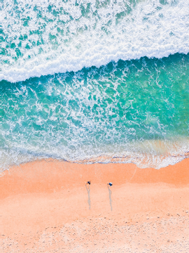 타코야끼 커미션