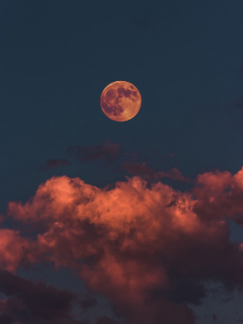 타코야끼 하이큐 미완성