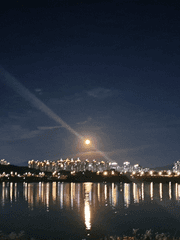 주술회전-드림 장편