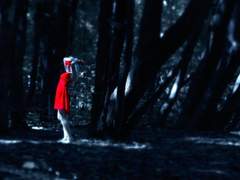 흩어진 꽃잎은 바람을 타고: 복수전 02