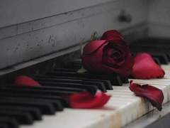 [줄리시즈] With you