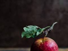 [청우문대] 파과 - 1