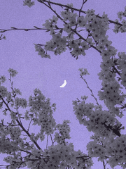 우리가 함께할 순간들