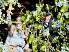 삶은 애초에 비극이라