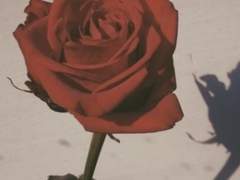 신의 愛에 나는 죽고, 그 愛에 산다.