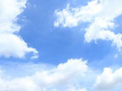 바닷물이 다 마를 때까지