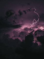 문호 스트레이독스