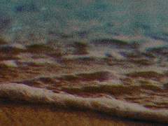 짧고 서툴렀던 여름.