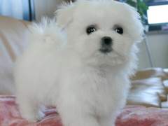 우당탕탕 수인학교 3