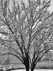 미치도록 사랑하지만,헤어지자