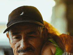 백년보다 진한 여름