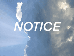 2021 여름 우규 합작 단체 명단