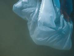 月亮淹没在水中