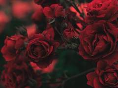 [모차살리모차] Stay, But A Little