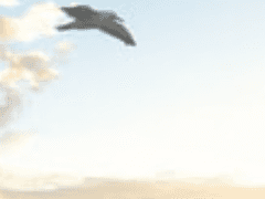 산으로간 갈매기