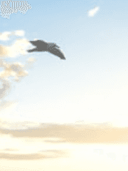 소나울 단편 소설 (산으로 간 갈매기)