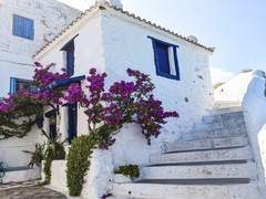 [국민] 담장 너머의 정원 14