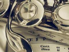 단사랑 F 19-플루트 전공