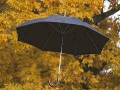 우산학원 제일 결혼하고 싶은/싶지않은 캐릭터 설문조사 결과