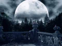 01. 이 모든 건 한여름 밤의 꿈에서 시작됐다