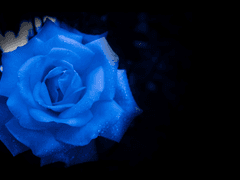 So⋯ if I could live,