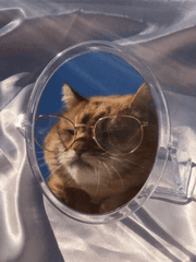 백업 #가보자고