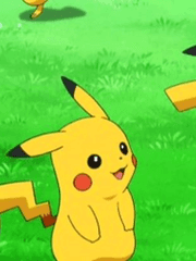 포켓몬이여! 영원하기를......