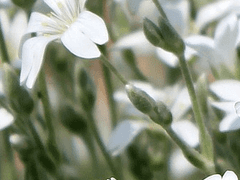 겨울의 끝자락에서,