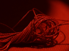 나는 너를 모르고