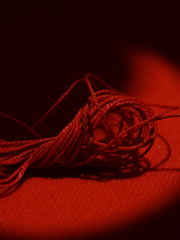 나는 너를 모르고