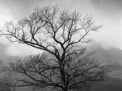 뒤집어 쓸 것이 없다.