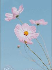 다시쓰는 이야기