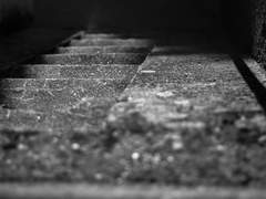 김각별이 생각하는 정공룡에 대하여.