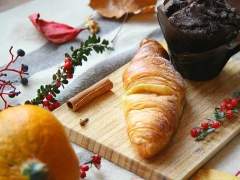 𝙴𝚞𝚙𝚑𝚘𝚛𝚒𝚊 𝙺. 𝙼𝚊𝚐𝚎𝚗𝚝𝚊