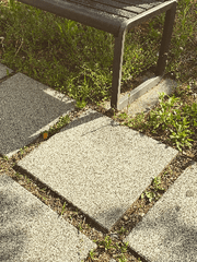 첫사랑은 이루어질 수 없다