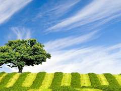 05. 그녀는 대체, 누구일까