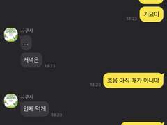 사쿠사 드림주 연애 카톡