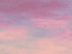 늘하람:24:인간:XY