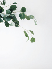 어디까지나 개인적인