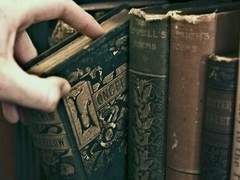 한호마법학교의 교직원