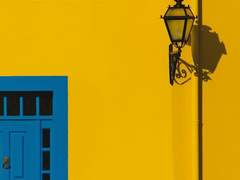 비행술에 특출난 재능을 보이던 오소리.