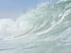 [솔낭, 척애] 𝕊𝕦𝕞𝕞𝕖𝕣 𝕊𝕦𝕣𝕗𝕚𝕟𝕘 𝔸𝕕𝕖