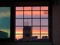 꿈에서 만난 사람