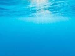 [랩진] Sleep walking, 上