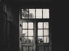 어느 날 우리 집 현관으로 멸망이 들어왔다.