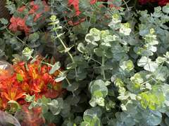 어이딸 일기 1편