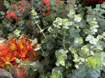 어이딸 일기 1편