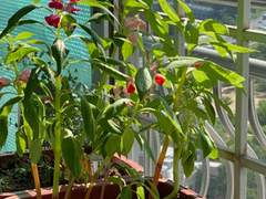 어이딸 일기 2편