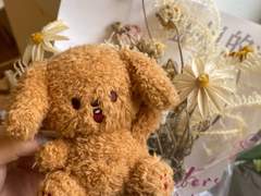 ❝CLOSED❞ COCO BROWNIE