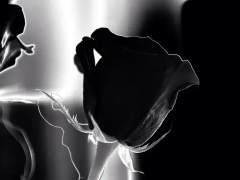 당신이 사는 계절로 나를 초대해줘.